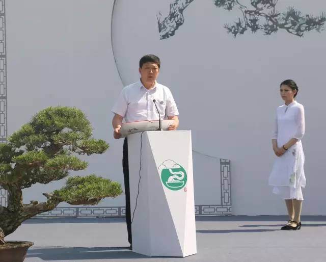 山东省暨首届盆景艺术书画展圆满启幕【图】