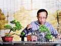 中国盆景艺术家协会副会长吴明选冷门盆景的文创之路