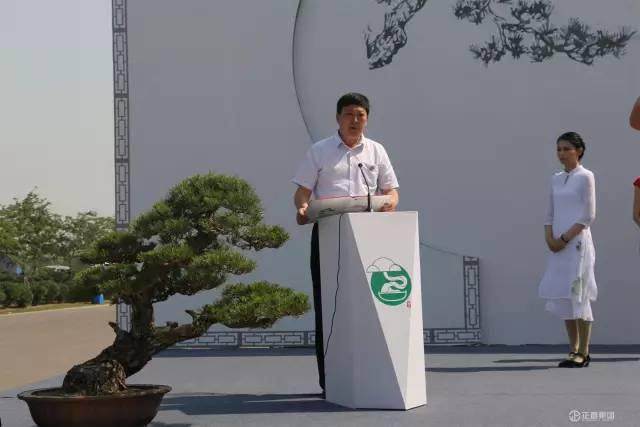 山东盆景协会联盟成立【图】