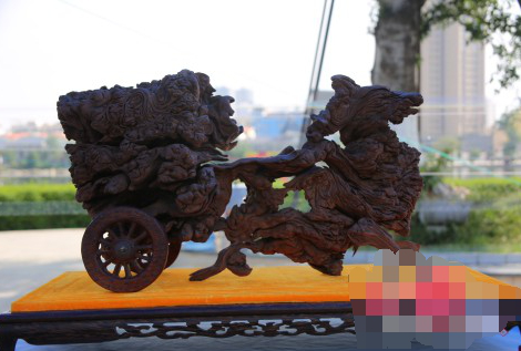 2017昭通昭阳举办盆景根艺文化展多图