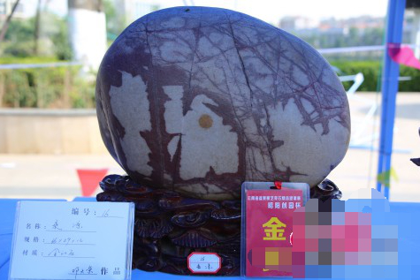 2017昭通昭阳举办盆景根艺文化展多图