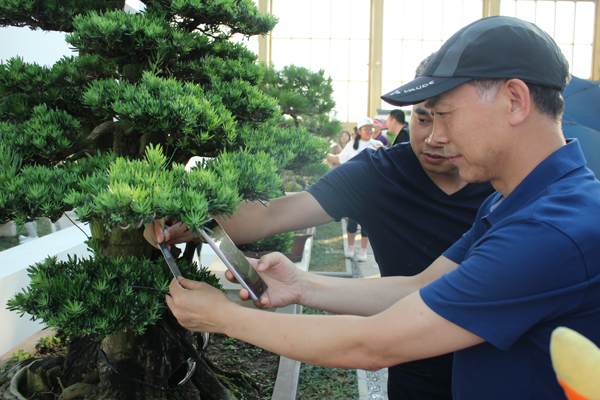 江苏省直机关组织来如皋考察花木盆景产业多图