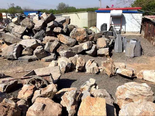 大型DIY多肉盆景 真的是大型的哦