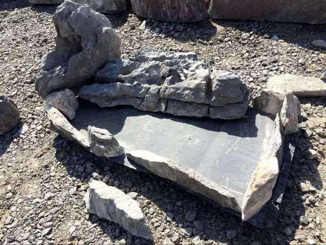 大型DIY多肉盆景 真的是大型的哦