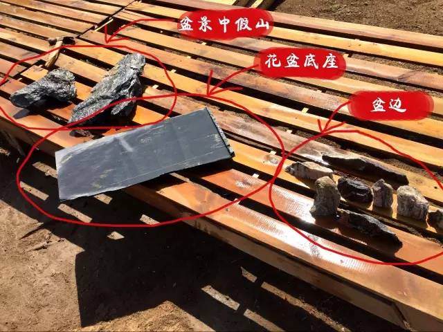 大型DIY多肉盆景 真的是大型的哦