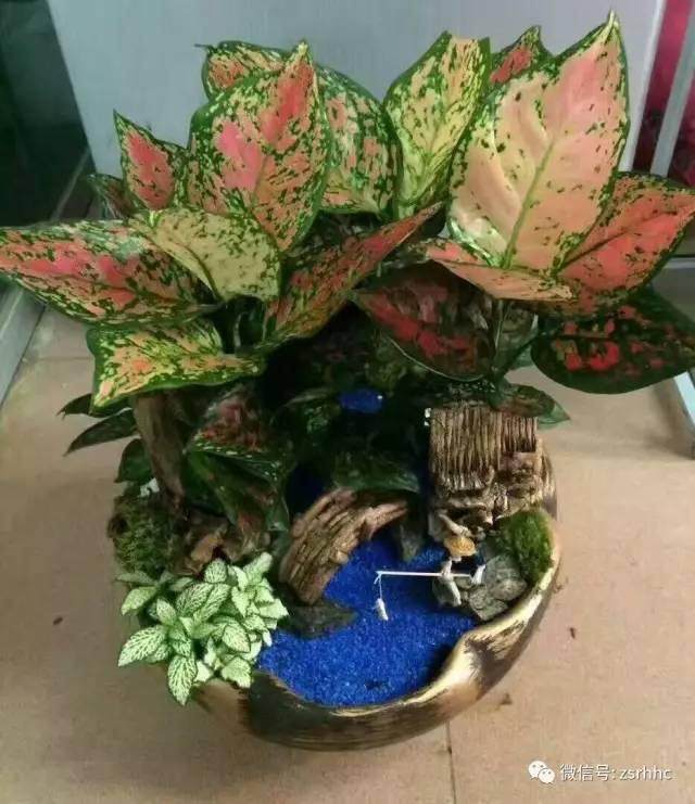 山水盆景的造型方式【图解】