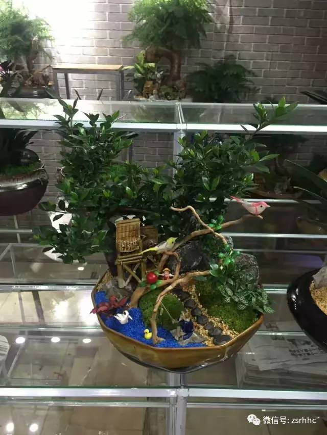 山水盆景的设计构思技巧【图解】