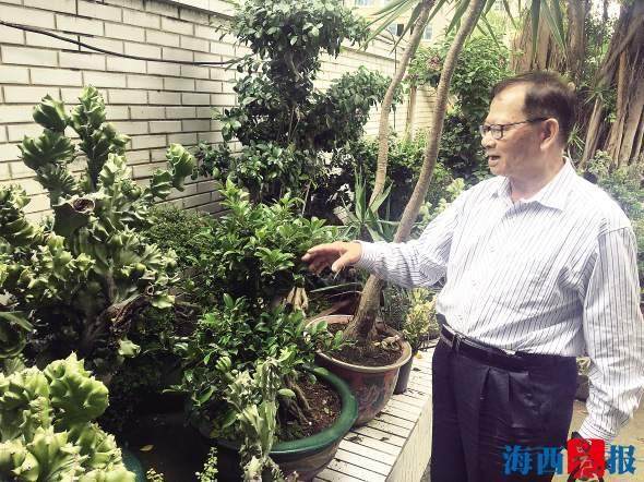 厦门老人婉拒他人高价购买 捐出近百盆盆景【图】