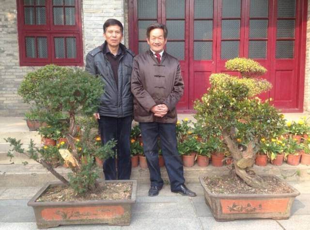 1965届校友捐赠2盆盆景给母校【图】