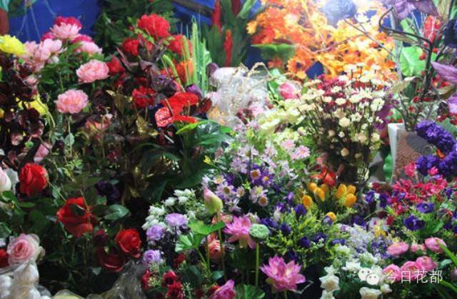 赶在广州花市开市前购买盆景 不仅有优惠，服务质量还有得赞！