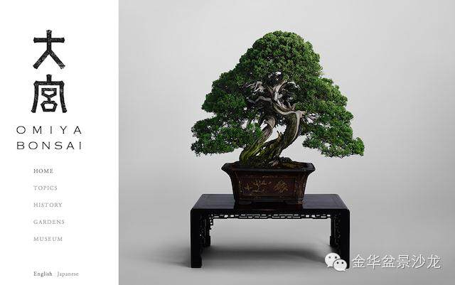 纪念日本大宫盆景村90周年【多图】