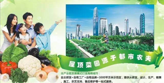 蔬菜做盆景装扮你的家【图】