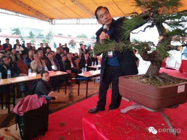 王选民在鸿江盆景园座谈盆景之道 图片