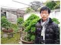 胡春方和他的盆景世界 图片