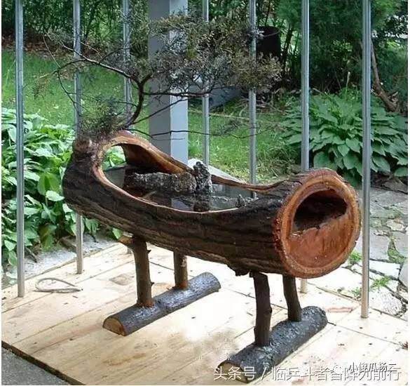 用原木树桩制作山水盆景【图解】