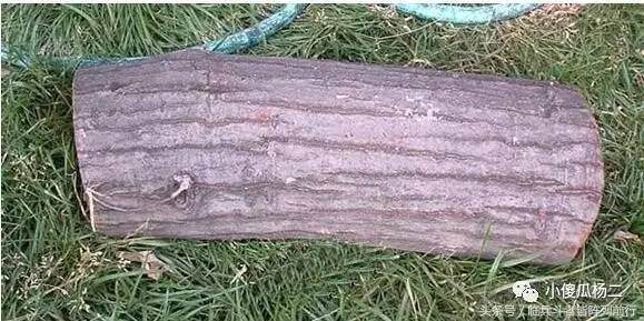 图解 怎么用原木树桩制作山水盆景