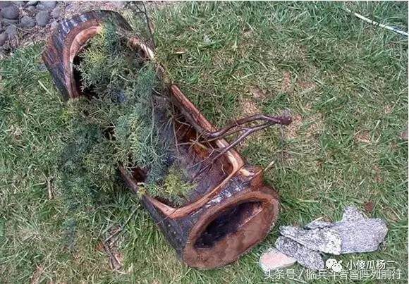 图解 怎么用原木树桩制作山水盆景