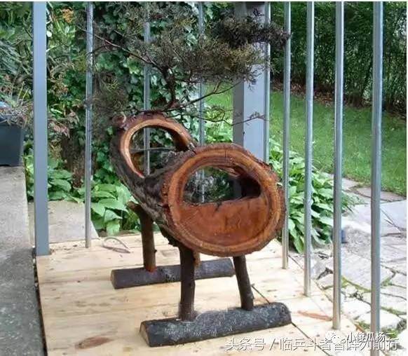 图解 怎么用原木树桩制作山水盆景