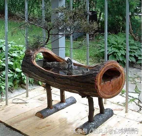 图解 怎么用原木树桩制作山水盆景