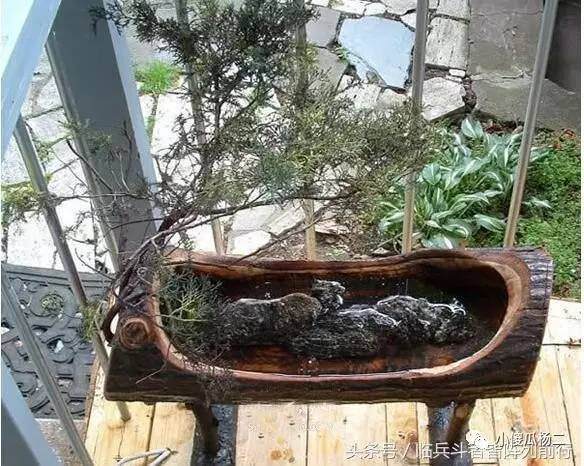图解 怎么用原木树桩制作山水盆景