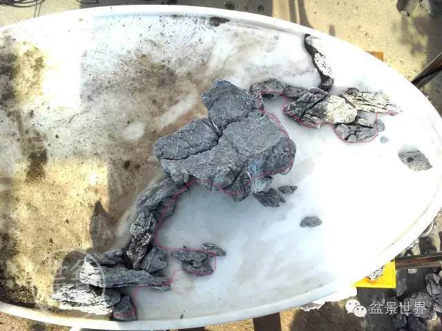 图说五针松水旱盆景制作全过程