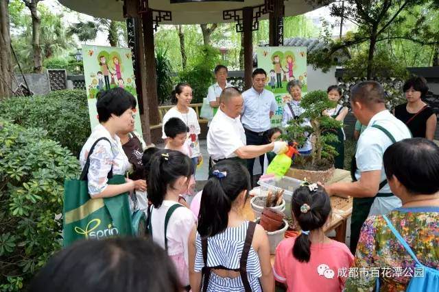 快乐六一 快乐盆景 图片