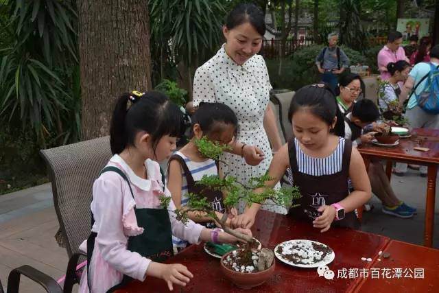 快乐六一 快乐盆景 图片