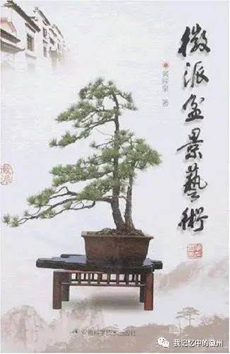 徽派盆景是徽州地区的中华民族优秀的工艺美术品【图】