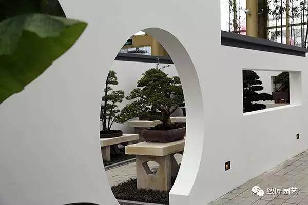 据说,这是全国最美的盆景博物馆 图片