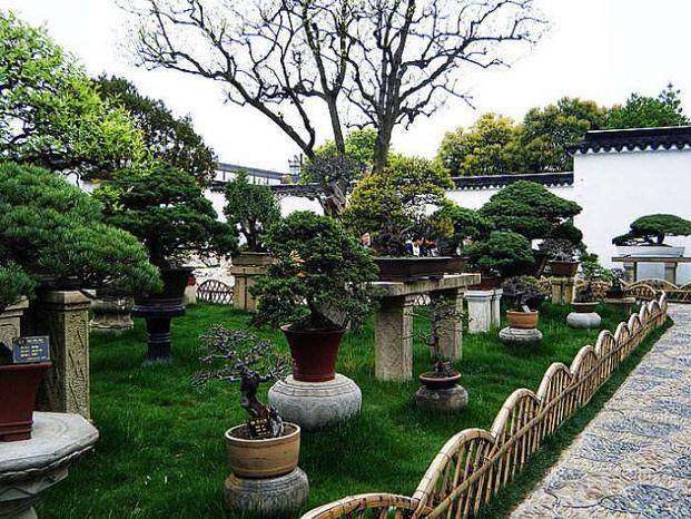 他是巴黎花园的寂寞中国盆景【图】