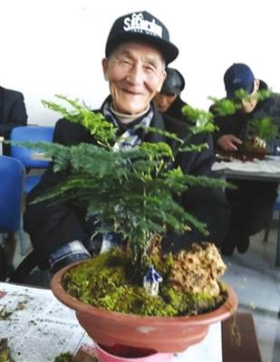 退伍老战士体现盆景制作的喜悦