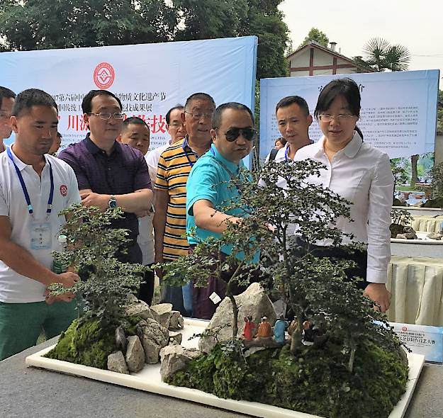 错过了安龙杯川派盆景制作技艺大赛颁奖? 图片