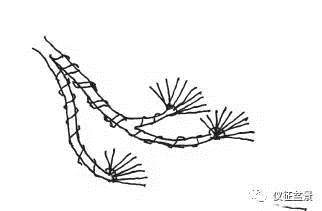 图解 盆景金属丝怎么绑扎整形的方法
