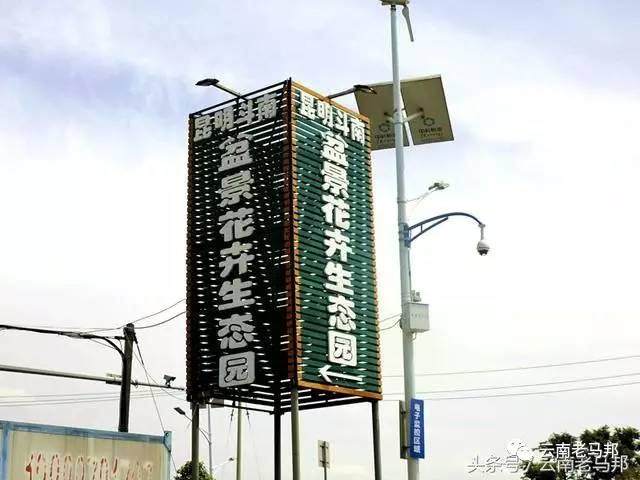 昆明玩多肉的新去处，斗南盆景花卉生态园【图】