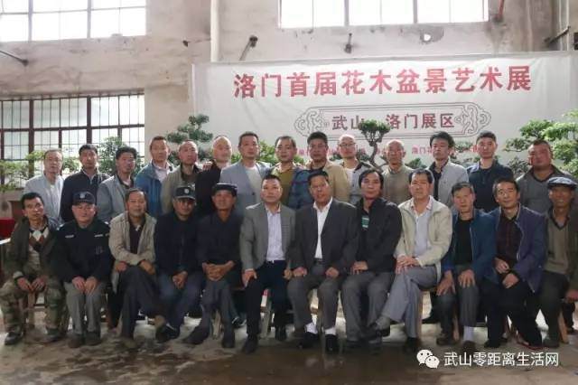 热烈庆祝洛门镇首届花木盆景艺术展取得圆满成功【图】