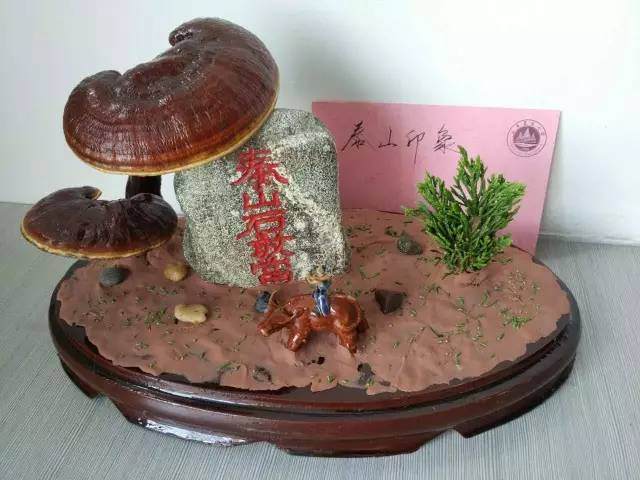 灵芝盆景设计大赛向你发送了一份邀请函【图】