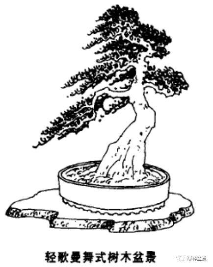 图解 怎么制作风动式树木盆景的方法