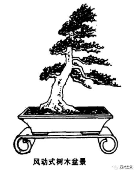 图解 怎么制作风动式树木盆景的方法