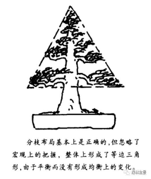 图解 怎么制作风动式树木盆景的方法