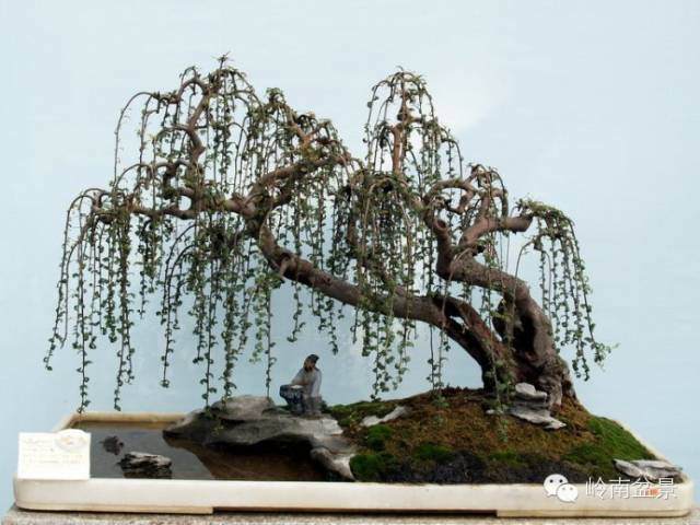 成立于1989年的广西盆景艺术家协会【图】