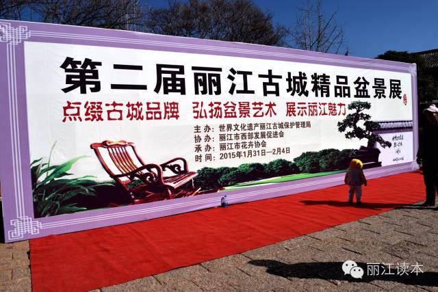 丽江古城盆景展开幕喽 走起 去看获金奖盆景长啥样 图片