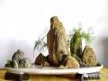 浮石怎么制作平远山水盆景的6个方法