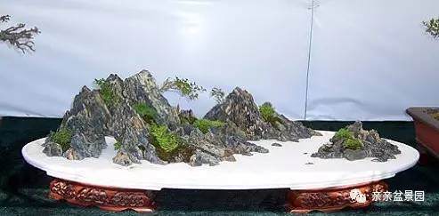 简单三步制作水旱盆景【图解】