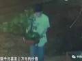 开着豪车偷盆景？嫌疑人竟然是…… 图片