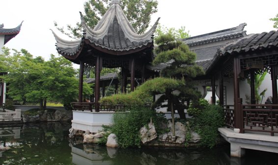 如皋盆景美了村庄 致富了村民 图片