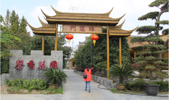 如皋盆景美了村庄 致富了村民 图片