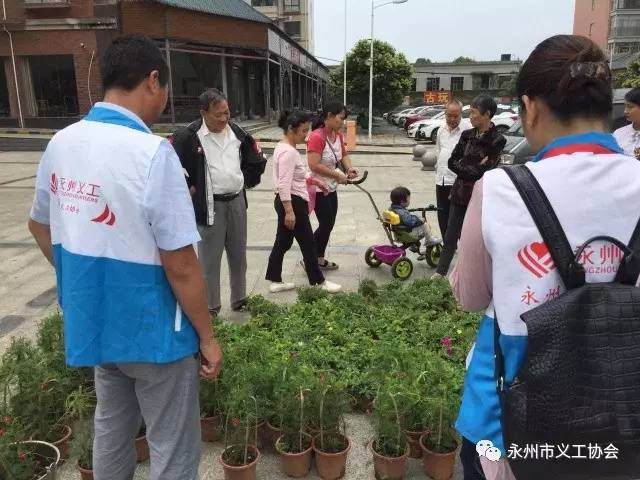 废旧塑料换盆景&mdash;&mdash;唤醒市民环保意识【图】