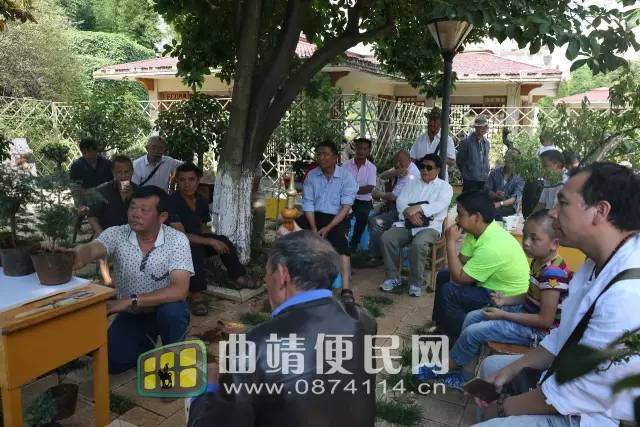 龙潭公园开展山水盆景培训活动【图】