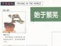 图解 盆景怎么整枝的9个步骤