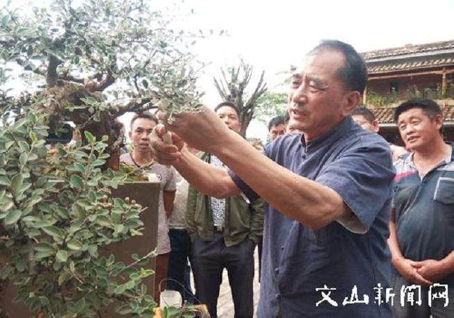 王选民与盆景苑的工作人员进行了座谈【图】